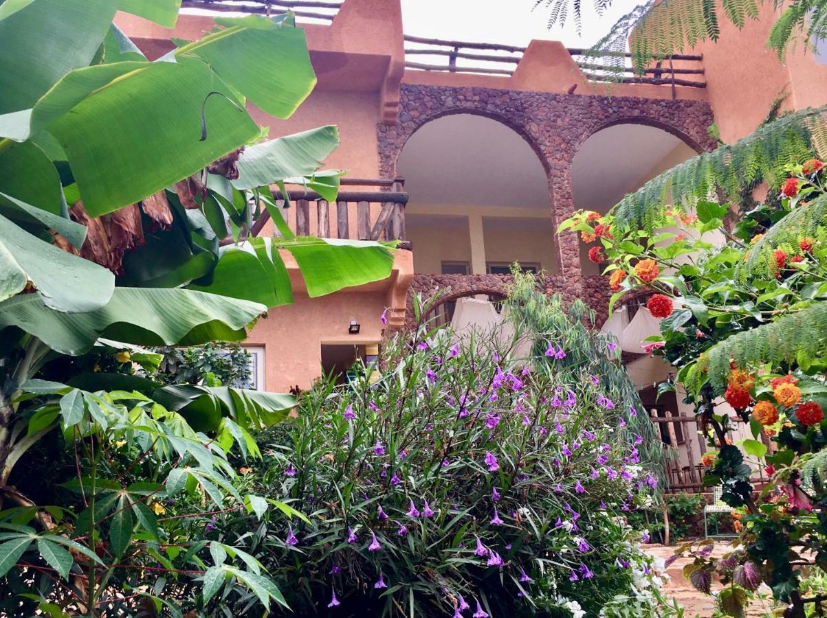 Ker Lep Jamm - Chez Moussa Et Cinzia Bed and Breakfast Toubab Dialaw Exteriör bild